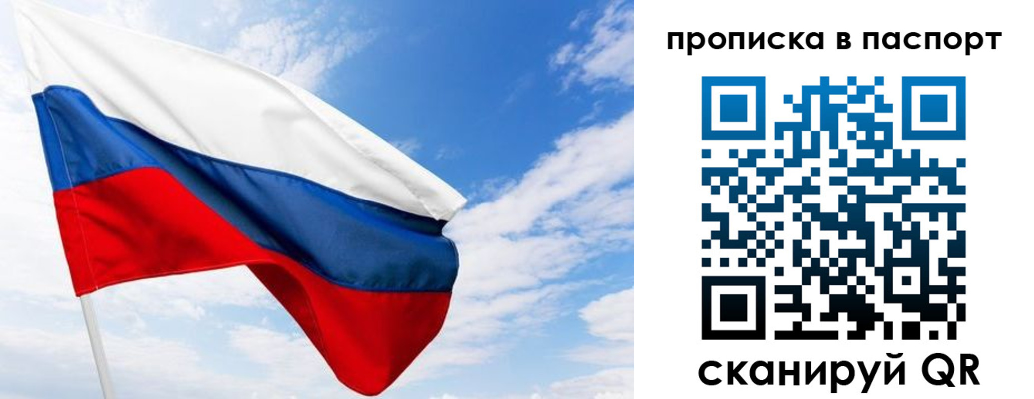 прописка поиск в Березниках